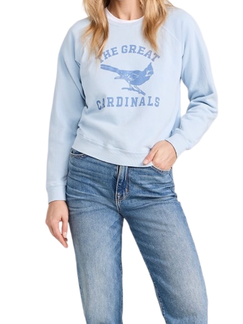 The Great Shrunken Sweatshirt Perched Cardinal Graphic Light Sky